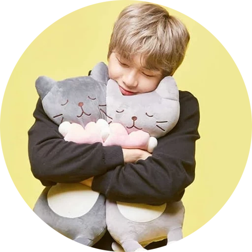 kang daniel, kucing mainan lembut, toy soft wolf, bantal mainan kucing, bantal mainan lembut kucing panjang