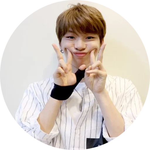 asiático, pak es chinen, kang daniel, los muchachos bangtan, la mano de kim sonmin