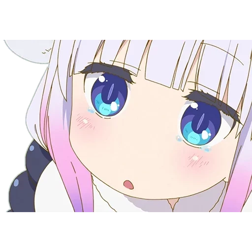 animação neko, kobayashi, kanna kamui, animação é fofa, papel de animação