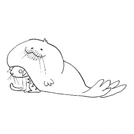 кот, тюлень, милый морж, тюлень любви, легкий рисунок моржа