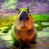 Капибара/Capybara