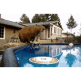 perro, capibara, piscina, animación de capibar, animal del capibro