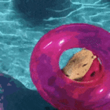 kucing, emoji, capybara, previous, latar belakang kolam ringan