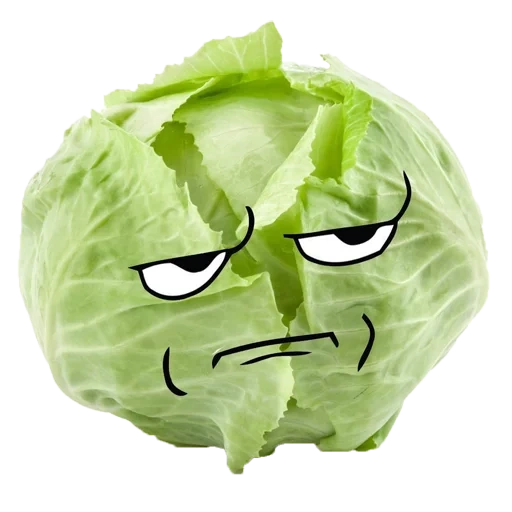 cabbage, chinese cabbage leaf, early cabbage, cabbage, fresh cabbage