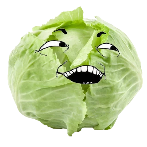automobile, deflected, chinese cabbage leaf, early cabbage, fresh cabbage