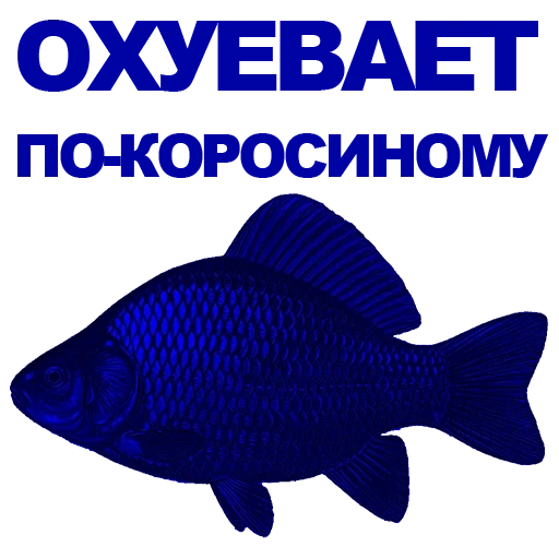 pesce, pesce, pesce, silhouette di pesce, silhouette blu di pesce