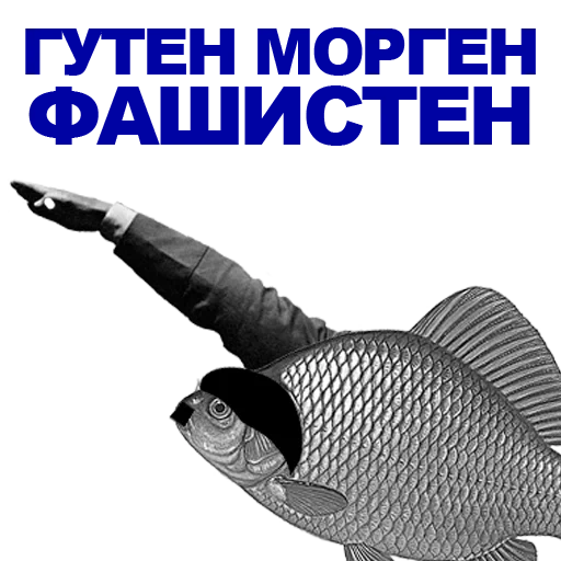 fish, carassius auratus, sparus macrocephalus, carassius auratus