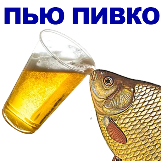 birra, carpa cruciana, alcol, birra di pesce, la birra è oscillata