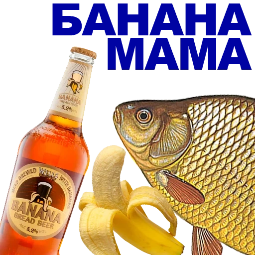 carassius auratus, alcohol, fish beer, cool crucian carp