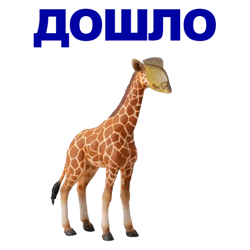 girafe, girafe, girafe cola, girafe animé, big jouet 180 cm girafe