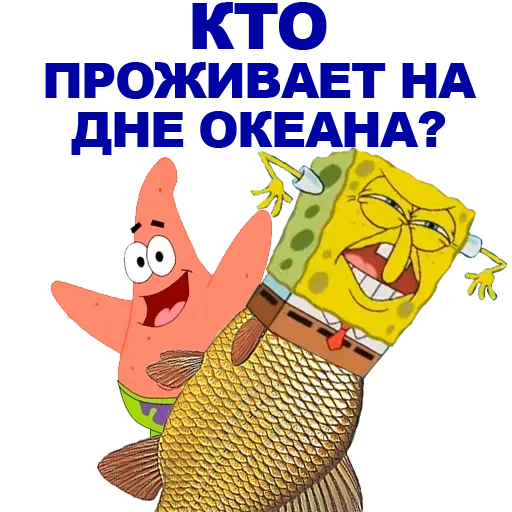 sponge bean, patrick spongebob, patrick spongebob, who lives at the bottom of the sea