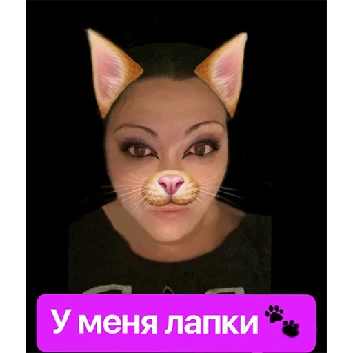 cats, young woman, woman, human, ariana grande snepchat