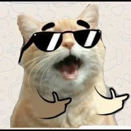 кот, коты, мем кот, мемы котами, мемы котами 2021