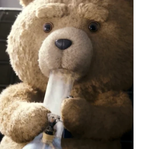 ted, рафаэль санти, тед третий лишний, третий лишний тед курит, третий лишний медведь тед