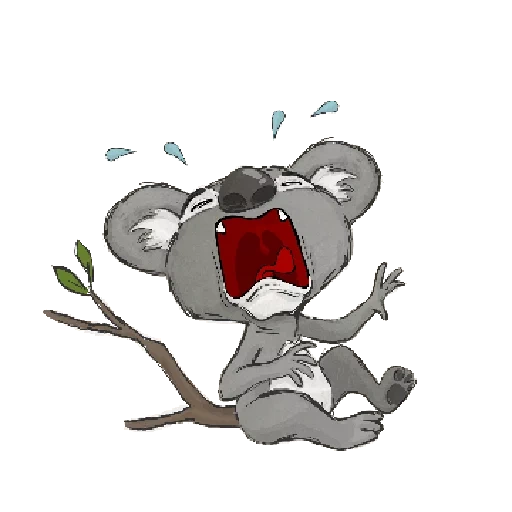 gato, koala, chorando coala, padrão de coala, cartoon coala