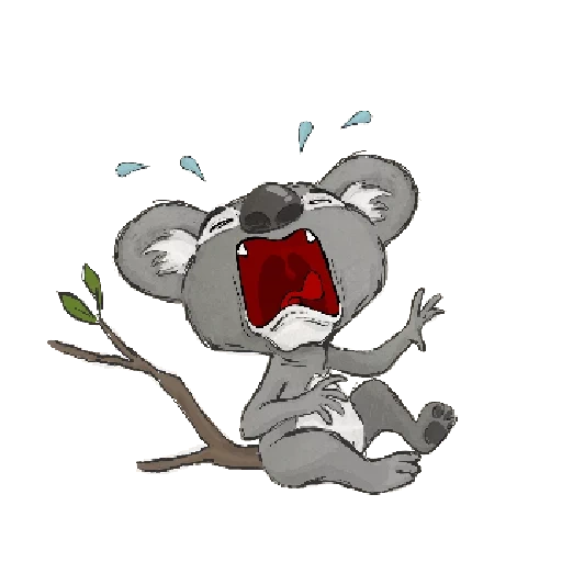 gatto, koala, koala piangente, modelli di koala, cartoon koala