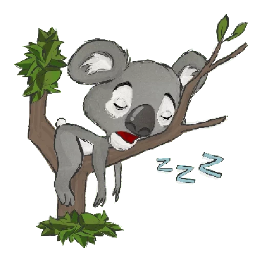 dessin animé de charbon, koala bear à une branche, bois koala sans fond, le cut cual est magnifique, petits charbons dessin animé