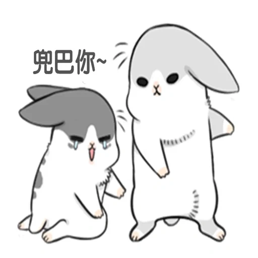 rabbit, cute rabbits, little mu zi rabbit, true rabbit