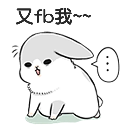 rabbit, cute rabbits, cute rabbit, true rabbit