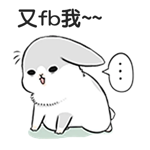 lapin, le lapin est mignon, lapin mignon, lapin mako