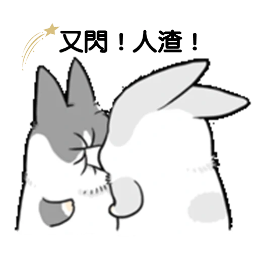 little rabbit, cat, rabbit, machiko rabbit, rabbitpyl9 rabbit