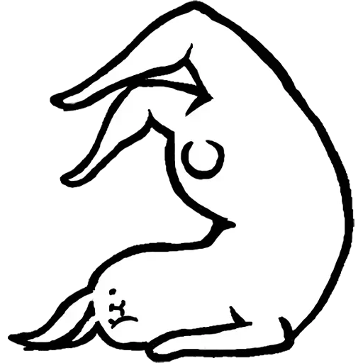 der kater, joga posiert, yoga asana, tantra yoga, kaninchen mit den schönen beinen