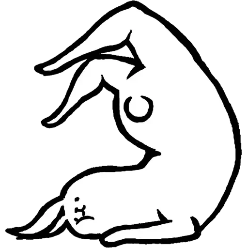 cats, poses de yoga, asanas de yoga, yoga tantrique, rabbit with the beautiful legs