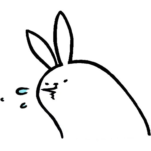 rabbit, lapin, motif de lapin, sketch lapin