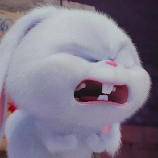 кролик снежок, введите запрос, веселый кролик, тайная жизнь домашних животных, кролик снежок тайная жизнь домашних животных 1