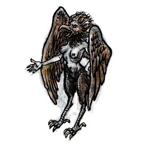 pájaro arpía, tatuaje de pájaro de garpy, criaturas míticas, boceto de mitología de arpy, mitología de pájaros arpy