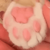 cute cats, cat paws, kotik's foot, cat's paws, lama pink pads
