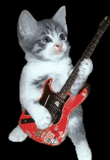gatto, picmix, impianti di fissaggio, gatto di chitarra, giocatore di flauto gatto