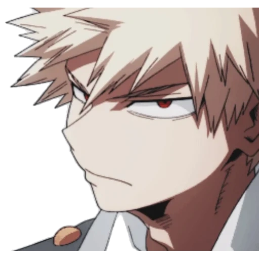 bakugo, bakugou, seiu bakugo, shiraitani katsuki, katsuki bakugou