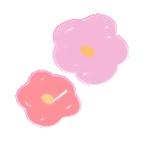 blumen, die kamille knallt, nns 62-010-a blume, seques blumen sind rosa, scharlachrote blume mit transparenten blütenblättern