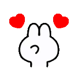 rabbit, love, splint, rabbit love