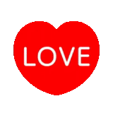 love, i love, love love, i love you, love lettering without background color
