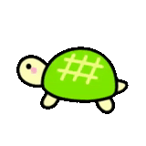 penyu, penyu, turtle 2d, kura kura itu hijau, turtle smiley