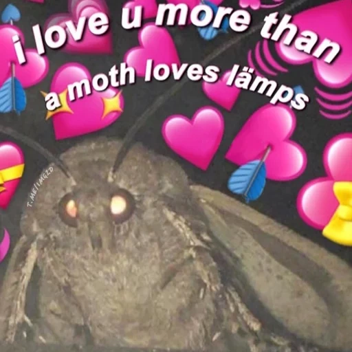 moth, моль мем, мотыльки, moth meme, мем мотылек