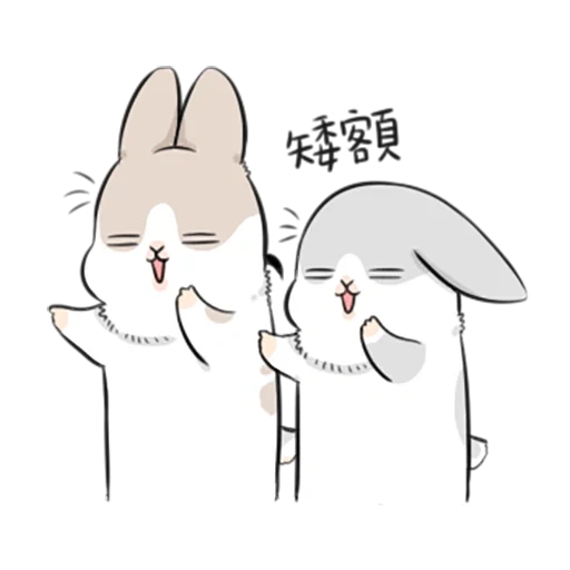 кролик, rabbit machiko, machiko rabbit, кролик rabbitpyl9, кролик мачико кошкой