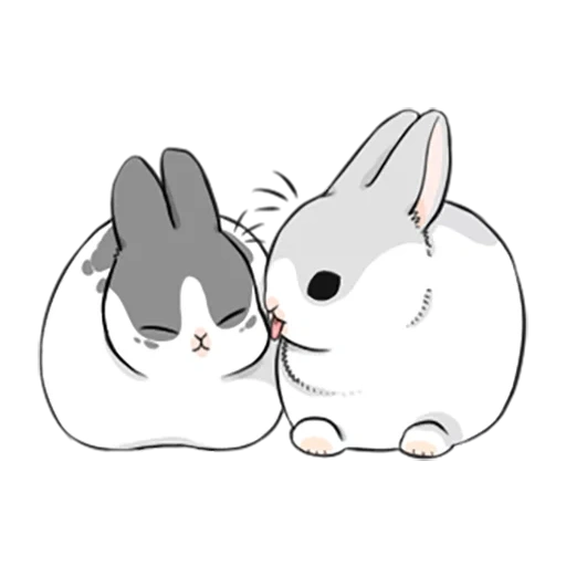 lapin, lapin de chibi, cher lapin, machiko rabbit, lapins mignons