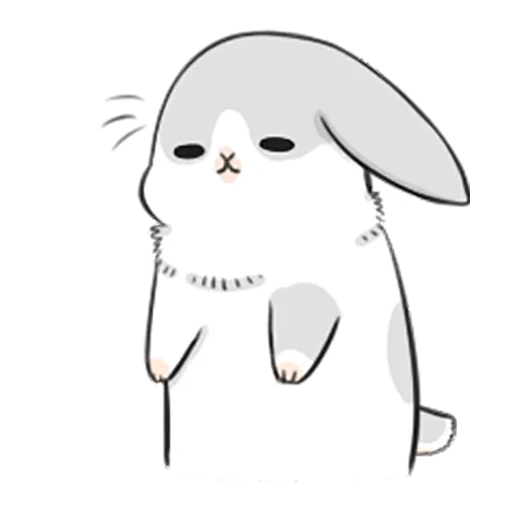 rabbit, cute rabbits, true rabbit, cute rabbit, little mu zi rabbit