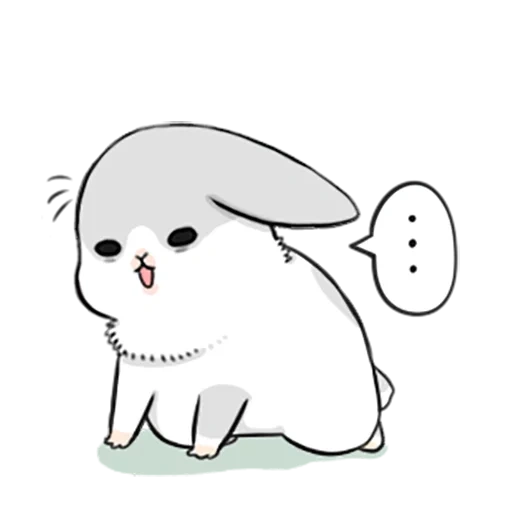 rabbit, cute rabbits, cute rabbit, true rabbit