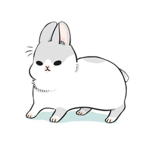 rabbit, cute rabbit, little mu zi rabbit, rabbit sketch, ultimate machiko rabbit