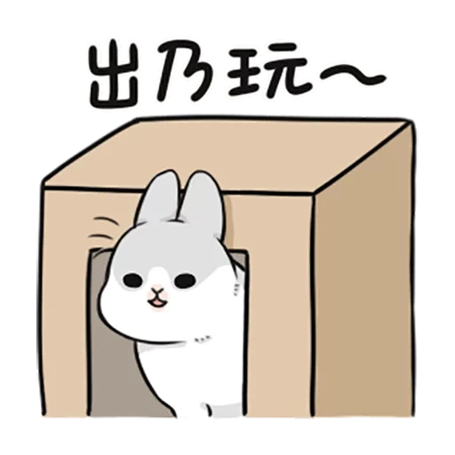 кролик, кот коробке, кролик милый, rabbit machiko