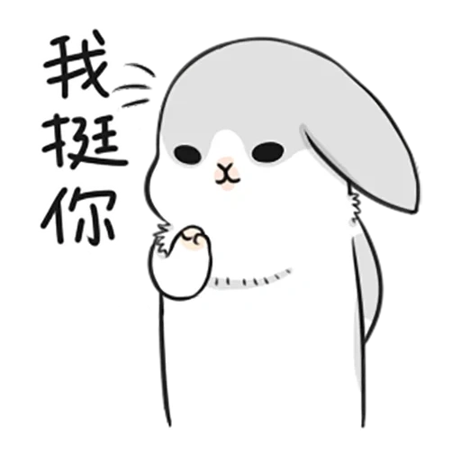 rabbit, cute rabbits, true rabbit, cute rabbit, little mu zi rabbit