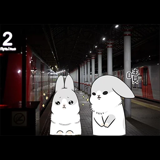 rabbit, screenshot, cute rabbits, true rabbit, machiko rabbit