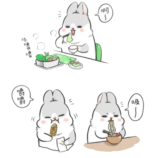 caro coniglio, rabbit machiko, disegno di coniglio, illustrazione di coniglio, rabbit machiko di un gatto