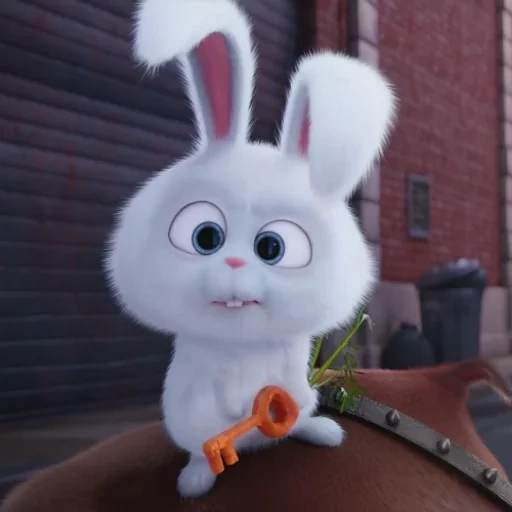 boule de neige de lapin, lapin snowflow life secret, caricaturé lapin secret life, little life of pets bunny, petite vie des animaux de compagnie lapin