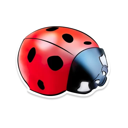 coccinelle, motif de coccinelle, coccinelle rouge, coccinelle adoptemi, carte enfant coccinelle