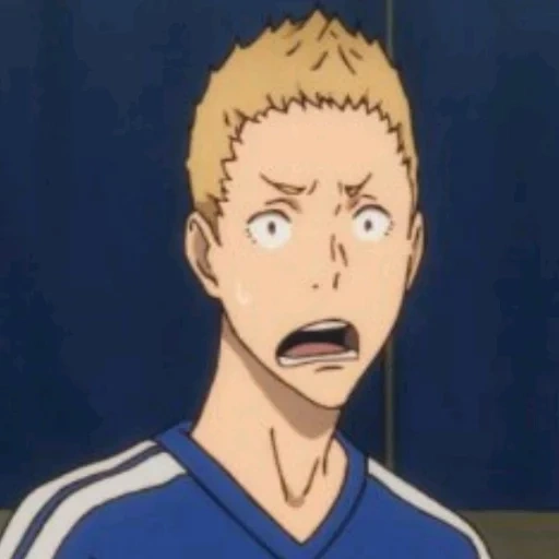 animação, anime, personagem de anime, herói do voleibol de anime